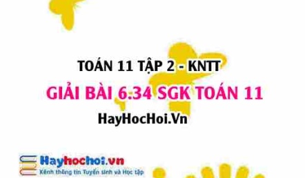Bài 6.34 SGK Toán 11 Tập 2 Kết nối tri thức